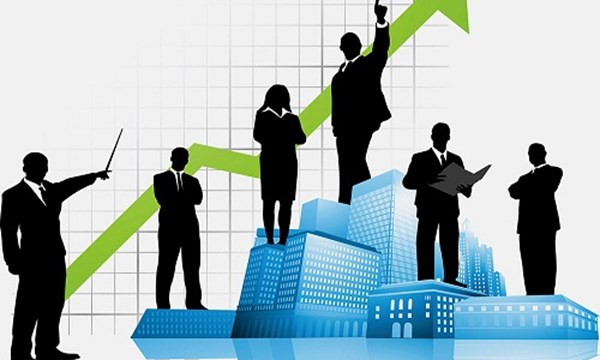 Cơ cấu quản lý của các loại hình doanh nghiệp