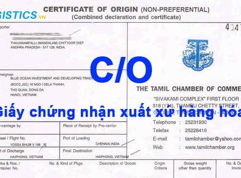 co là gì
