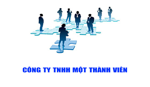 Công ty tnhh mtv là loại hình doanh nghiệp gì