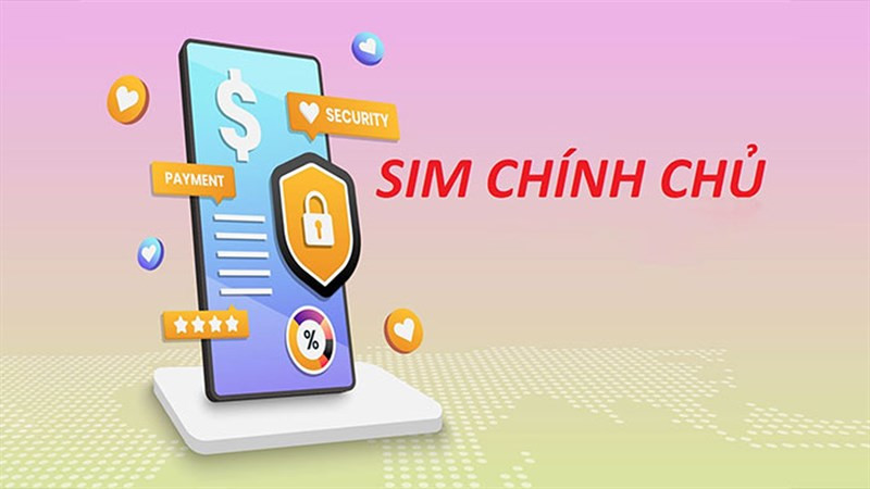 Sim doanh nghiệp là gì