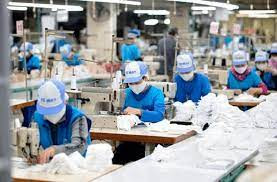 hoạt động giám định quyền sở hữu công nghiệp