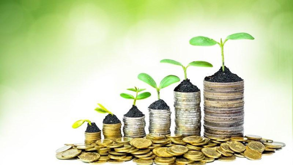 7 cấp bậc đầu tư tài chính