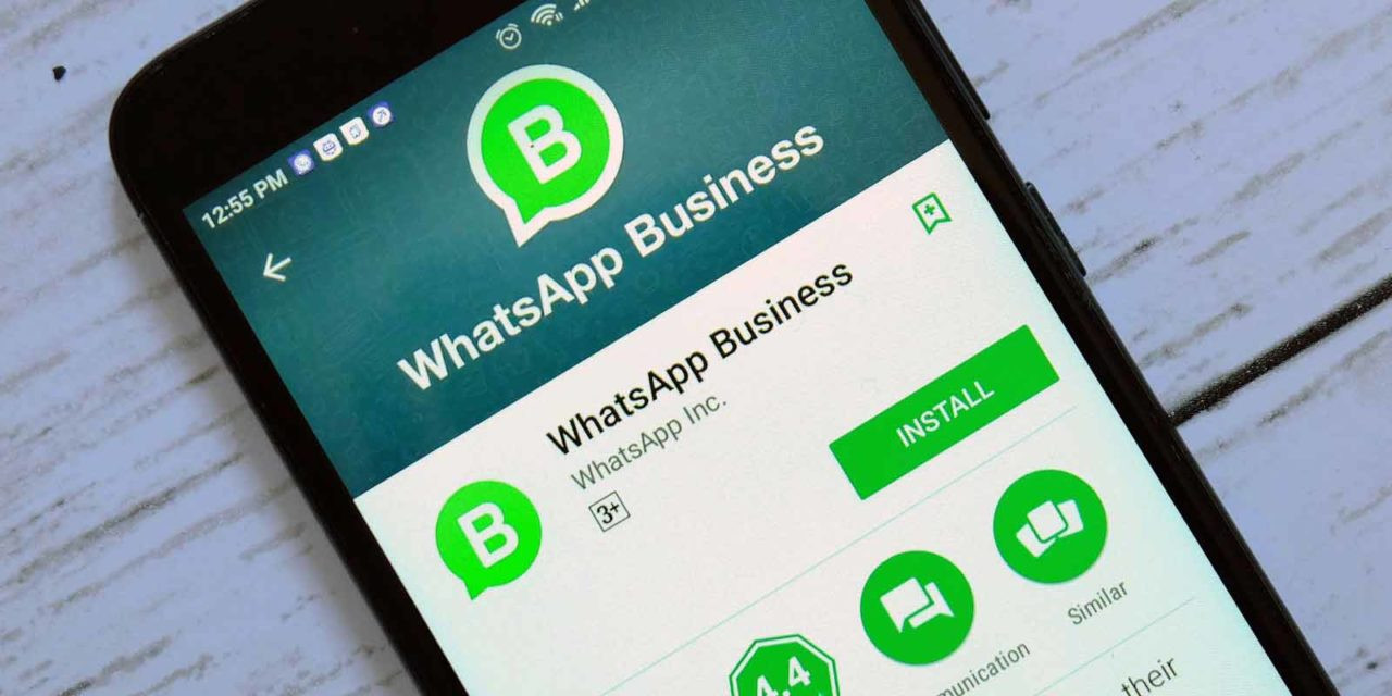 tài khoản whatsapp doanh nghiệp là gì