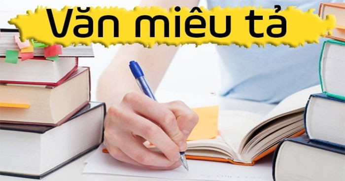 Xe biển xanh là xe gì? Đặc quyền nào được dành cho xe biển xanh?