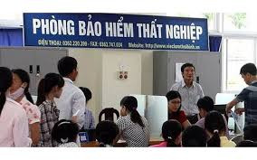 bao-hiem-that-nghiep