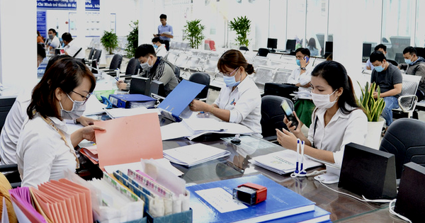 Bổ nhiệm ngạch công chức