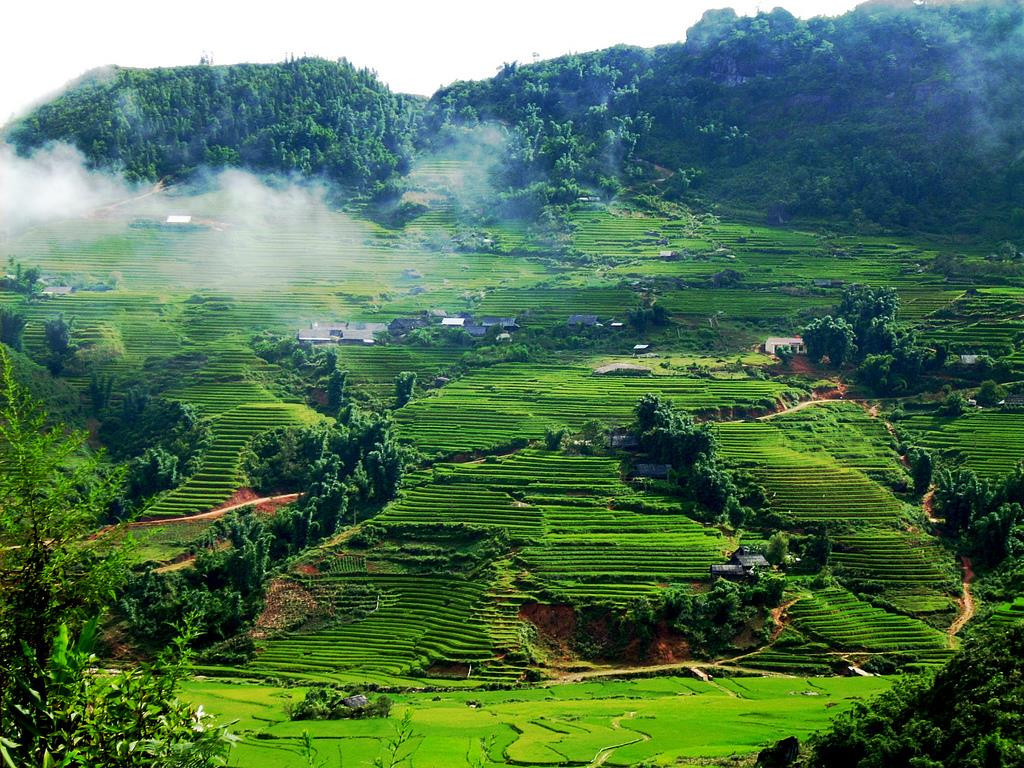 cao-nguyen-moc-chau-son-la-1