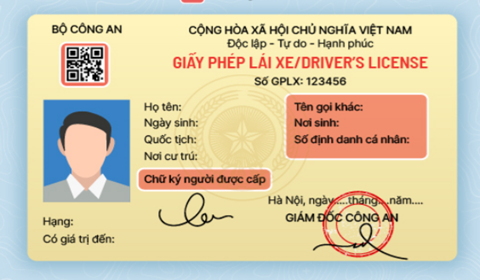 Cấp lại giấy phép lái xe tại tphcm