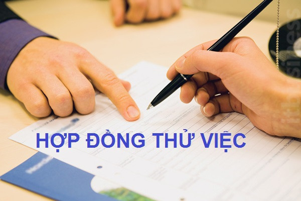 Có được tạm hoãn hợp đồng thử việc