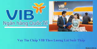 vay tín chấp vib online