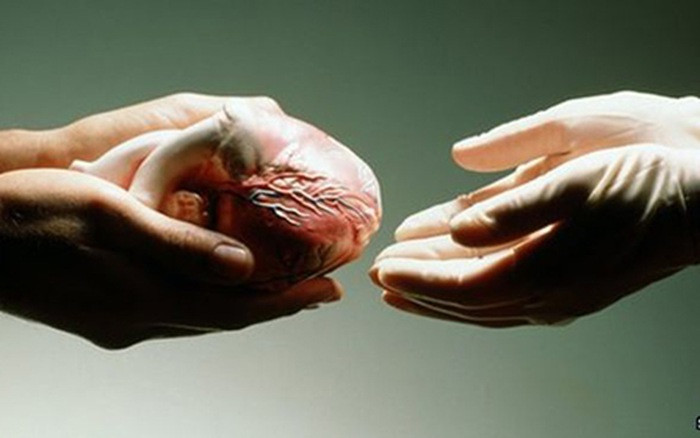 Hiến tạng được bao nhiêu tiền