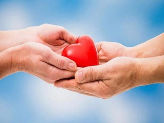 Hiến tạng gồm những bộ phận nào