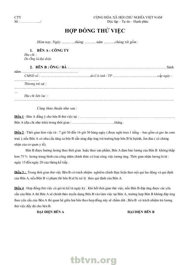 Mẫu gộp hợp đồng thử việc và hợp đồng chính thức