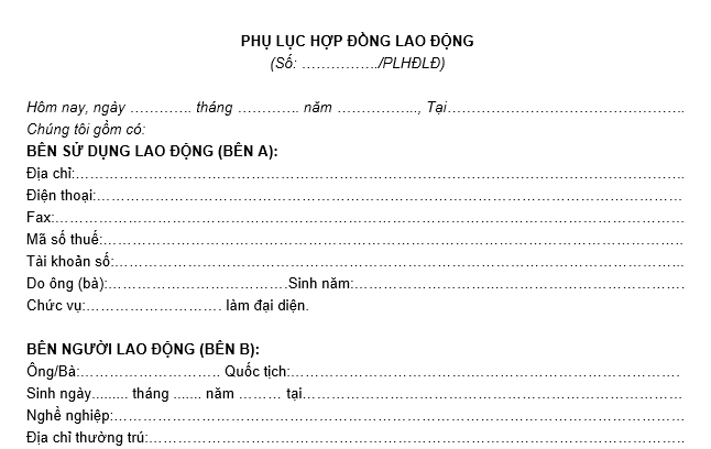 Mẫu phụ lục hợp đồng thử việc