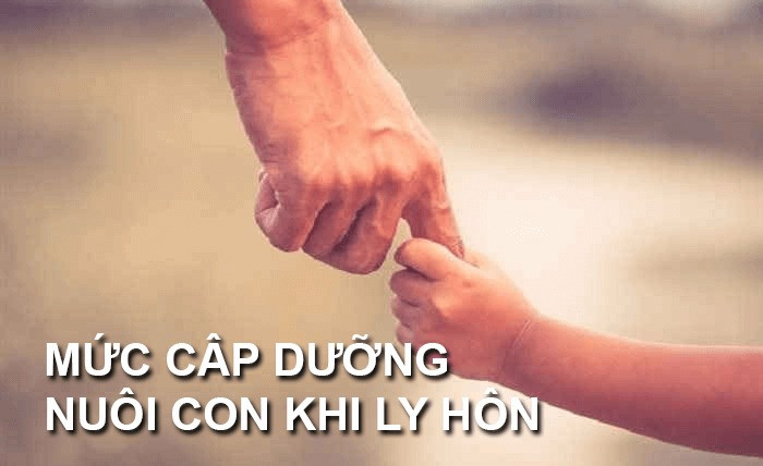 cấp dưỡng là bao nhiêu