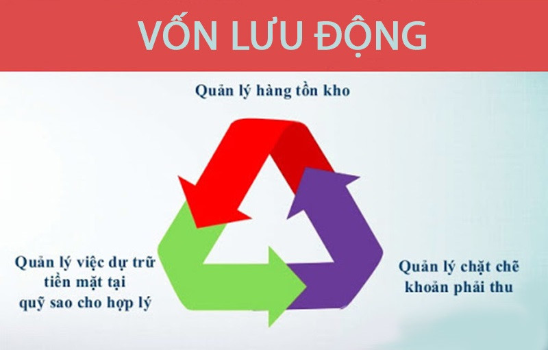Vốn lưu động là gì? Phân loại vốn lưu động