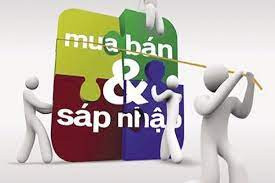Một số quy định của pháp luật Việt Nam về mua bán và sáp nhập doanh nghiệp