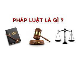 Pháp luật mang bản chất giai cấp và bản chất?