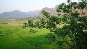 chuyển nhượng quyền sử dụng đất khi đang cho thuê