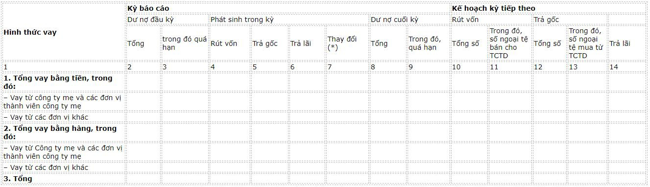 bao-cao-tinh-hinh-thuc-hien-vay