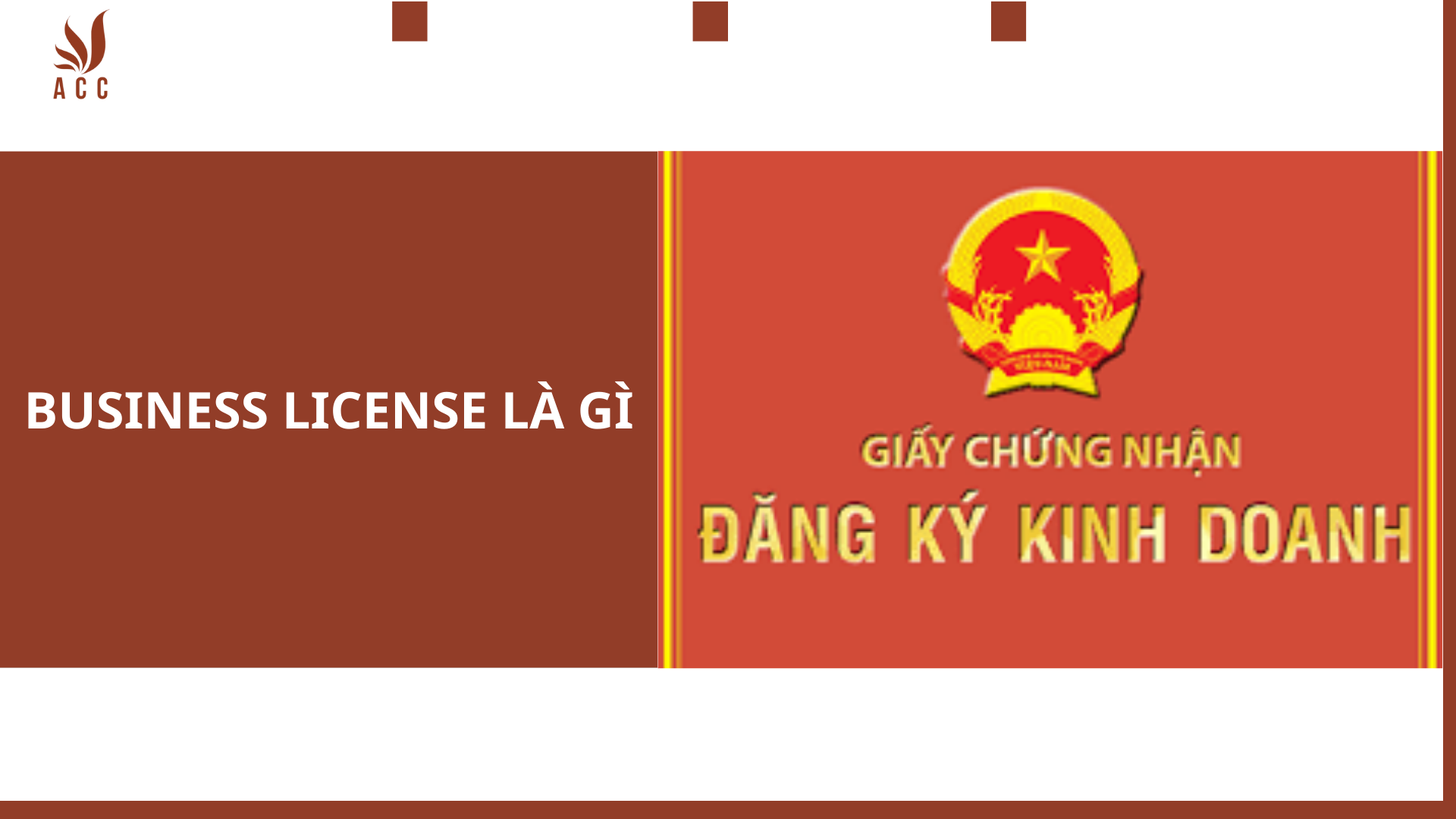 business-license-la-gi