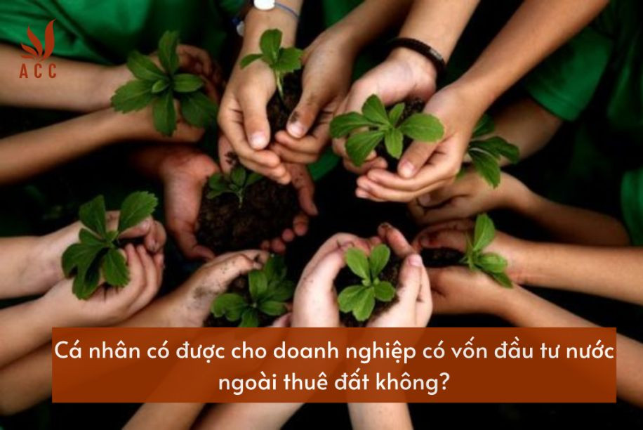 ca-nhan-co-duoc-cho-doanh-nghiep-co-von-dau-tu-nuoc-ngoai-thue-dat-khong