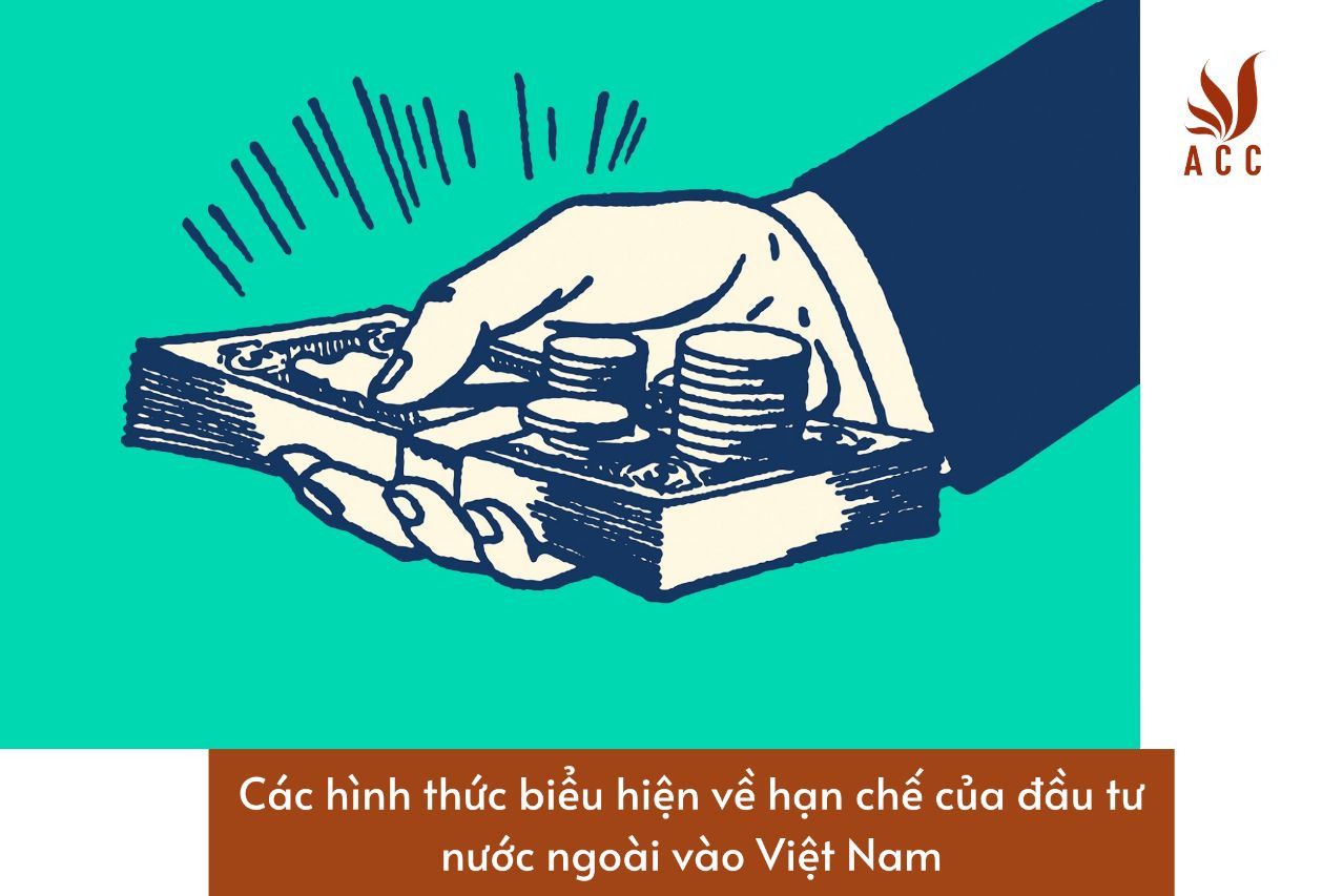 cac-hinh-thuc-bieu-hien-ve-han-che-cua-dau-tu-nuoc-ngoai-vao-viet-nam