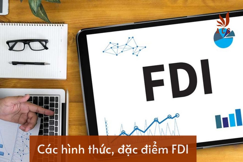 cac-hinh-thuc-dac-diem-fdi