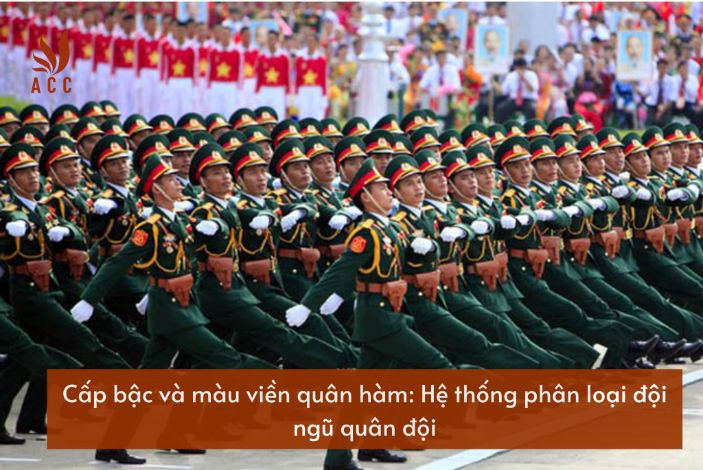 cap-bac-va-mau-vien-quan-ham-he-thong-phan-loai-doi-ngu-quan-doi