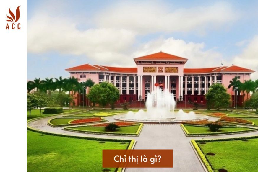 chi-thi-la-gi