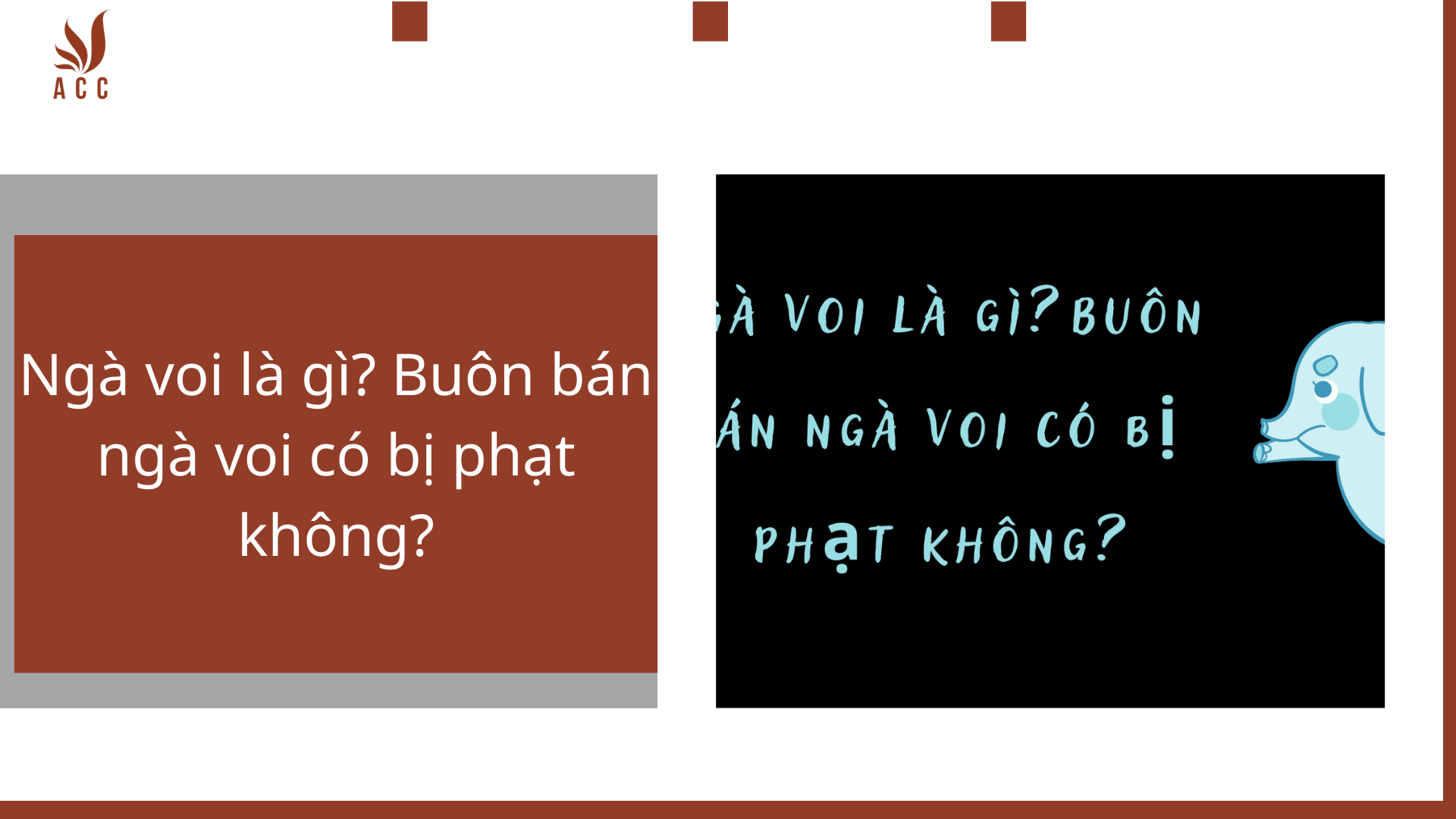 Ngà voi là gì? Buôn bán ngà voi có bị phạt không?