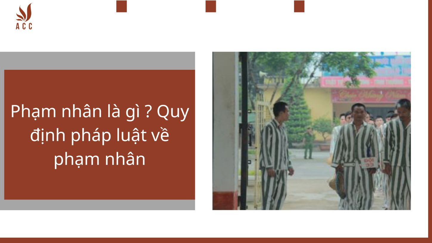 Phạm nhân là gì ? Quy định pháp luật về phạm nhân