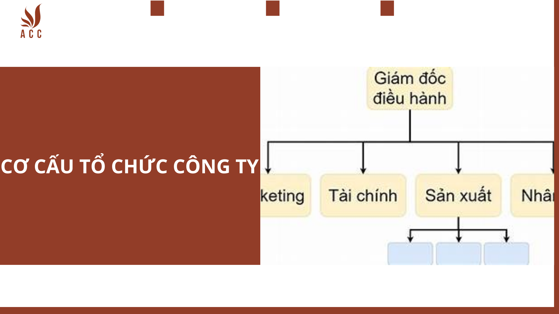 co-cau-to-chuc-cong-ty