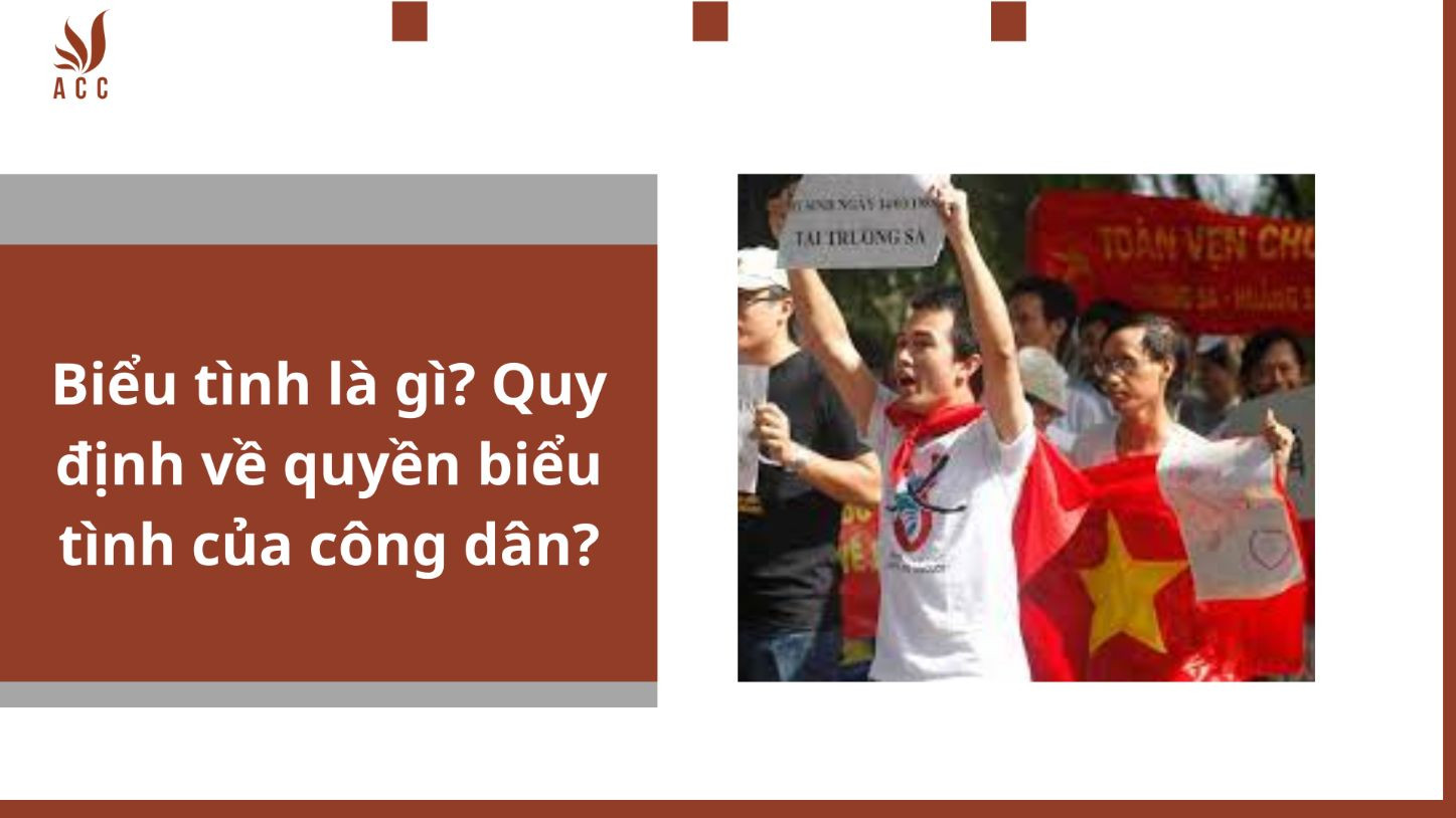 Biểu tình là gì? Quy định về quyền biểu tình của công dân?