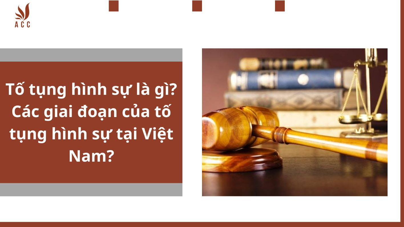 Tố tụng hình sự là gì? Các giai đoạn của tố tụng hình sự tại Việt Nam?