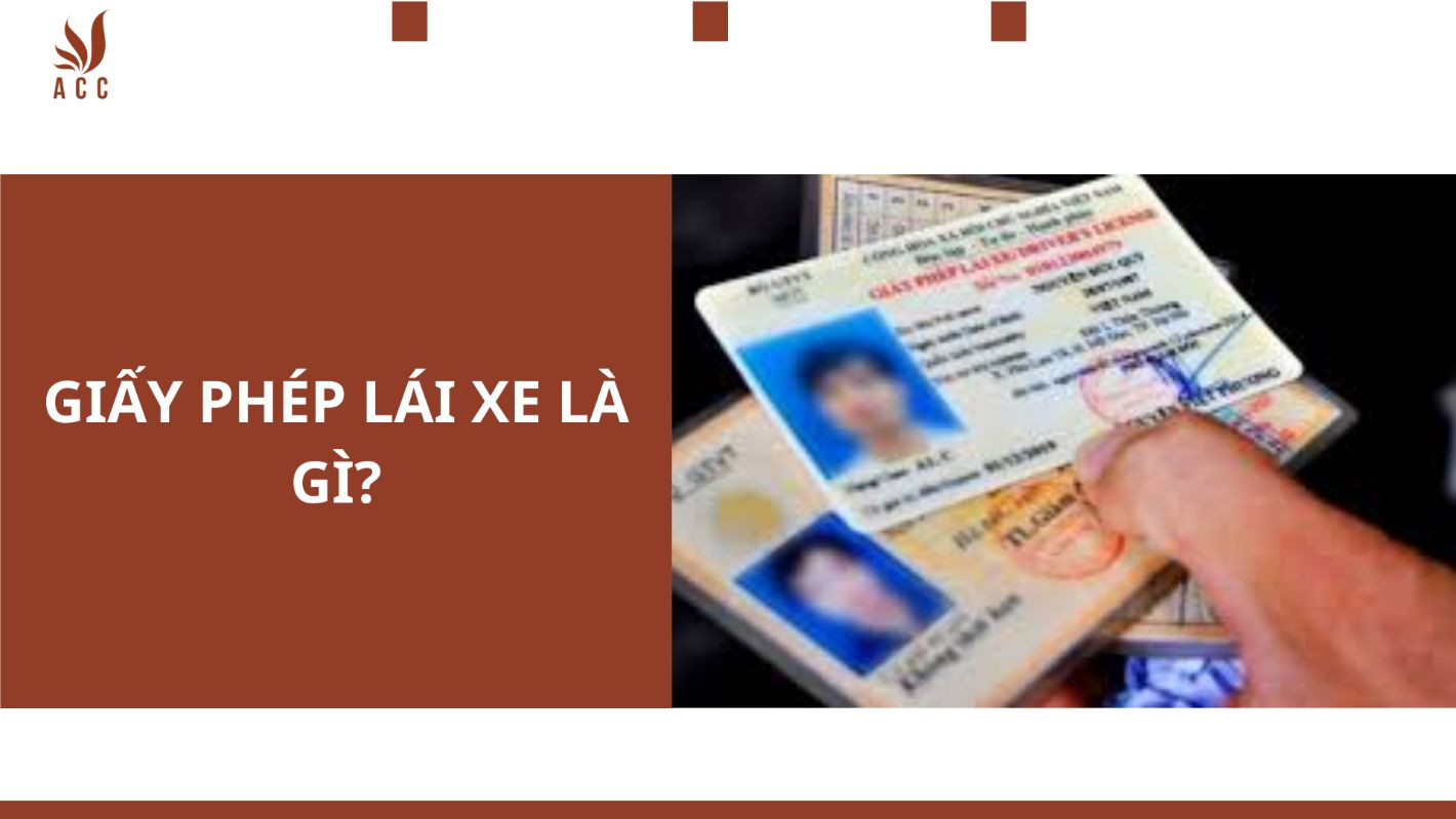 gplx