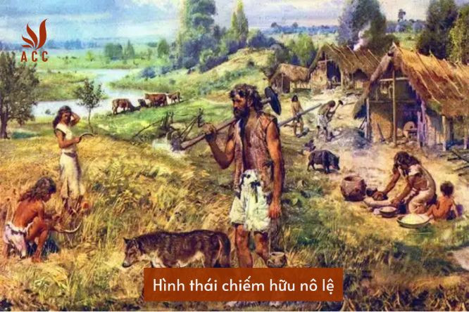 hinh-thai-chiem-huu-no-le