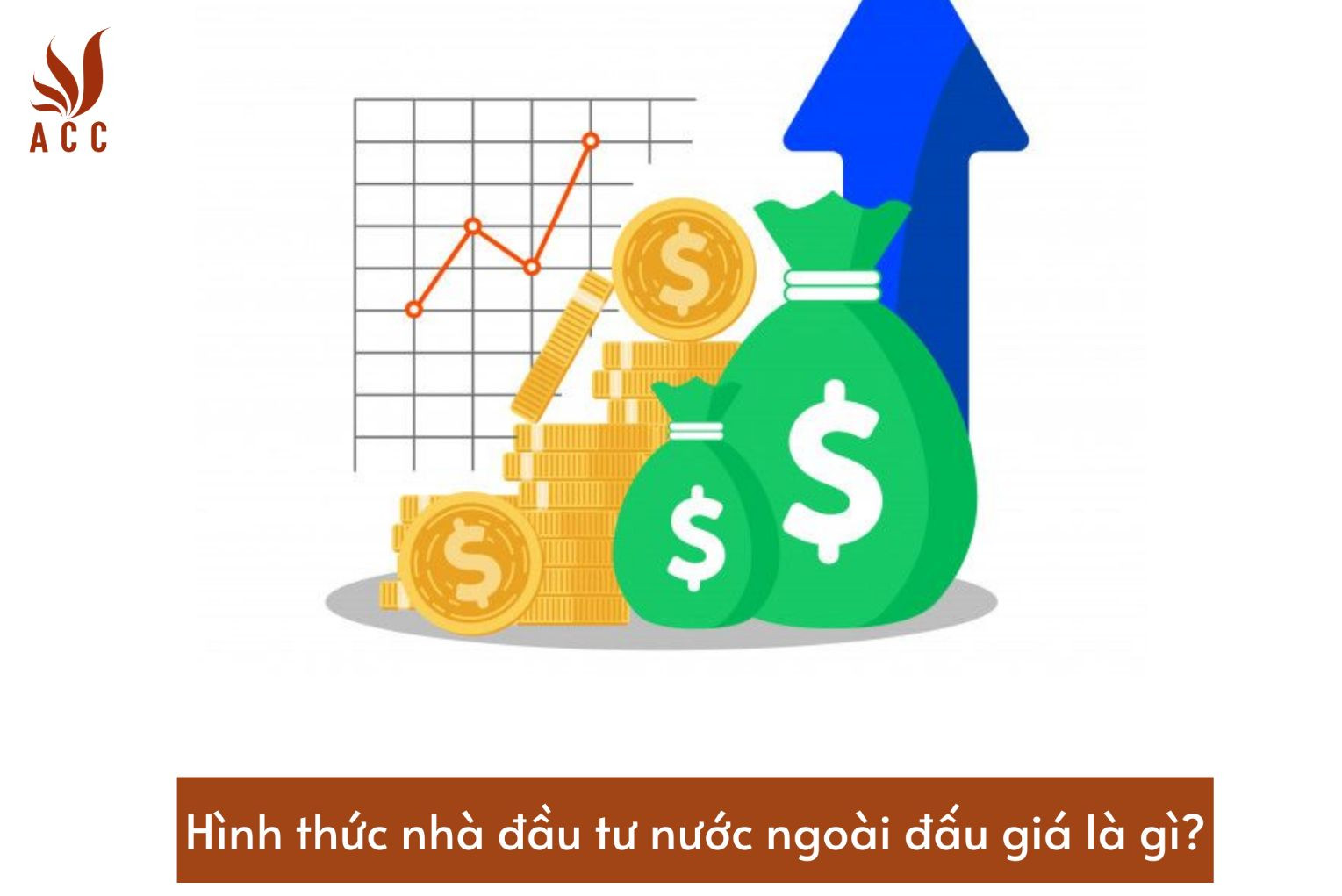 hinh-thuc-nha-dau-tu-nuoc-ngoai-dau-gia-la-gi