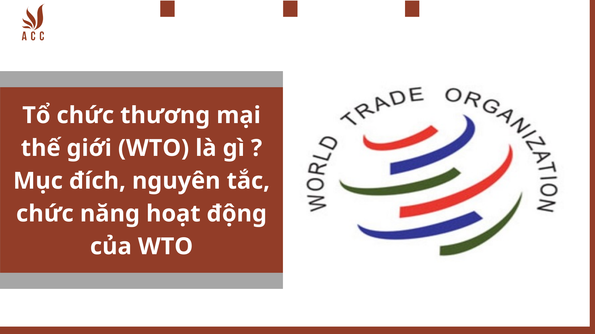 Tổ chức thương mại thế giới (WTO) là gì ? Mục đích, nguyên tắc, chức năng hoạt động của WTO