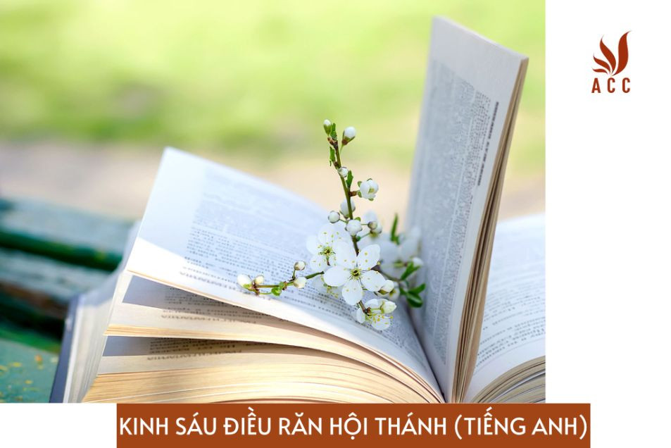 kinh-sau-dieu-ran-hoi-thanh-tieng-anh
