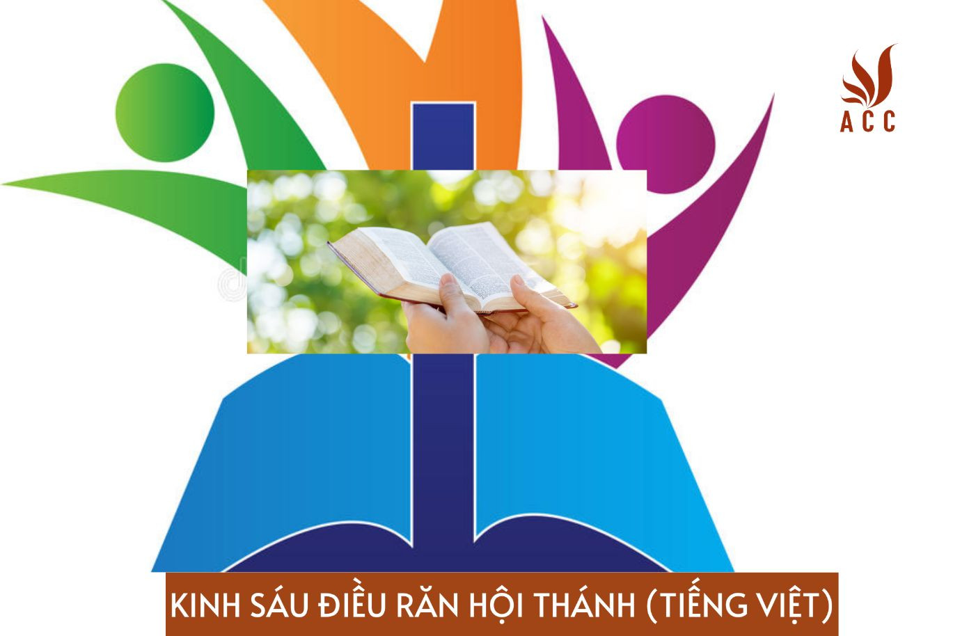 kinh-sau-dieu-ran-hoi-thanh-tieng-viet