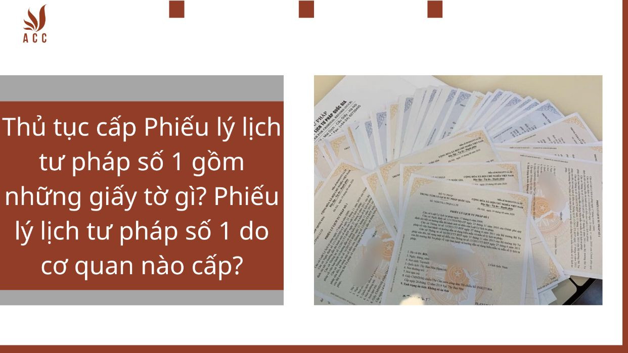 Thủ tục cấp Phiếu lý lịch tư pháp số 1 gồm những giấy tờ gì? Phiếu lý lịch tư pháp số 1 do cơ quan nào cấp?