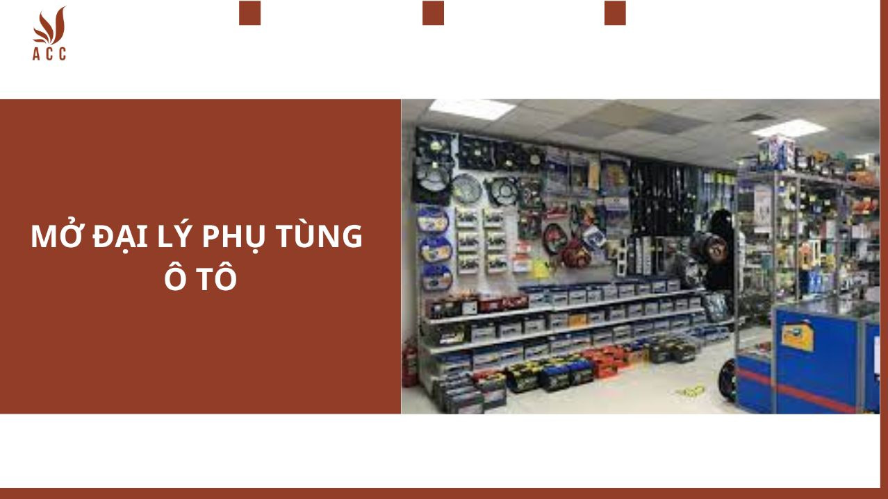 mo-dai-ly-phu-tung-o-to