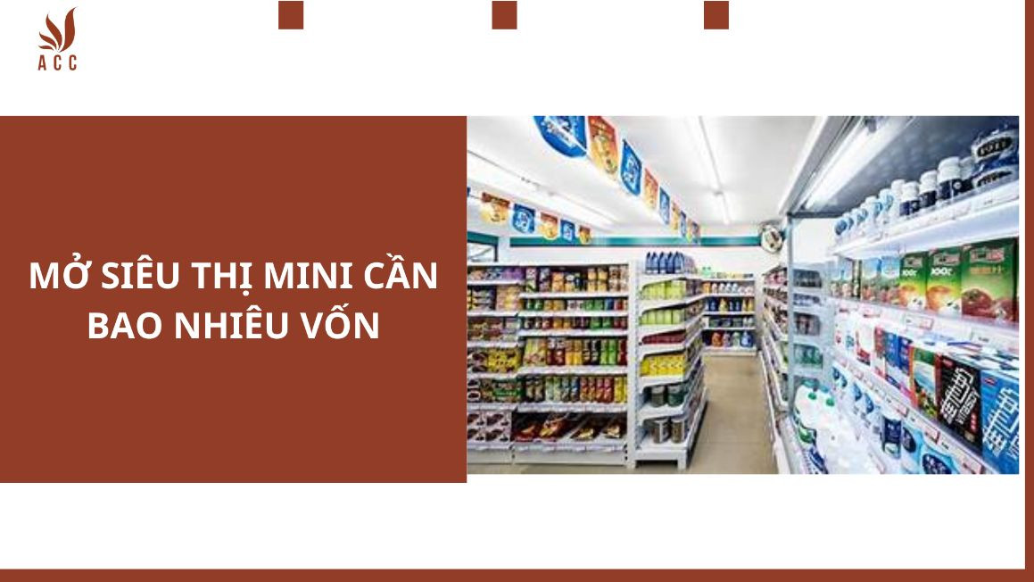 mo-sieu-thi-mini