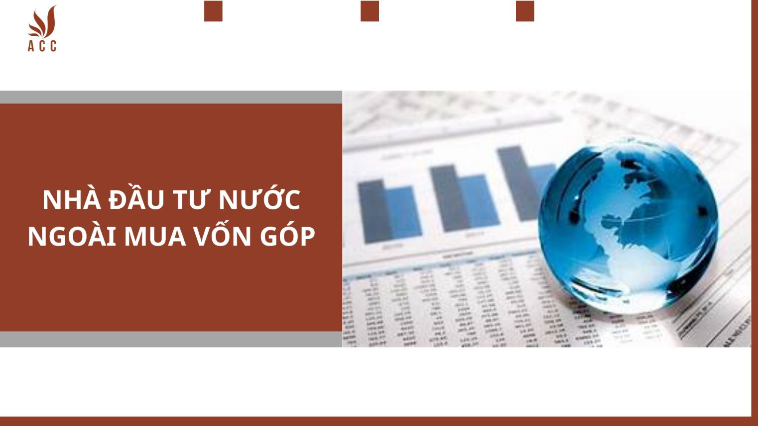 nha-dau-tu-mua-von-gop