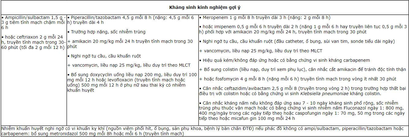 phac-do-khang-sinh-1