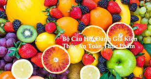 Tìm hiểu bộ câu hỏi kiến thức an toàn thực phẩm [Chi tiết 2023]
