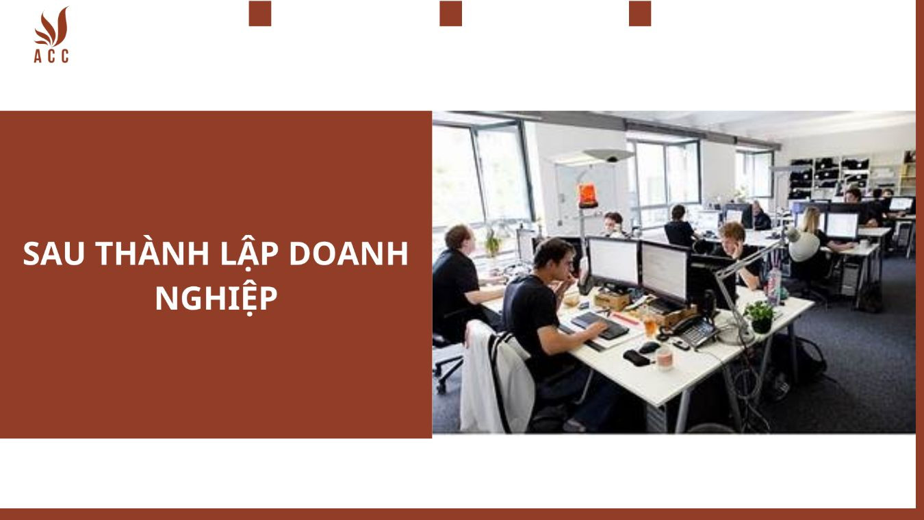 sau-thanh-lap