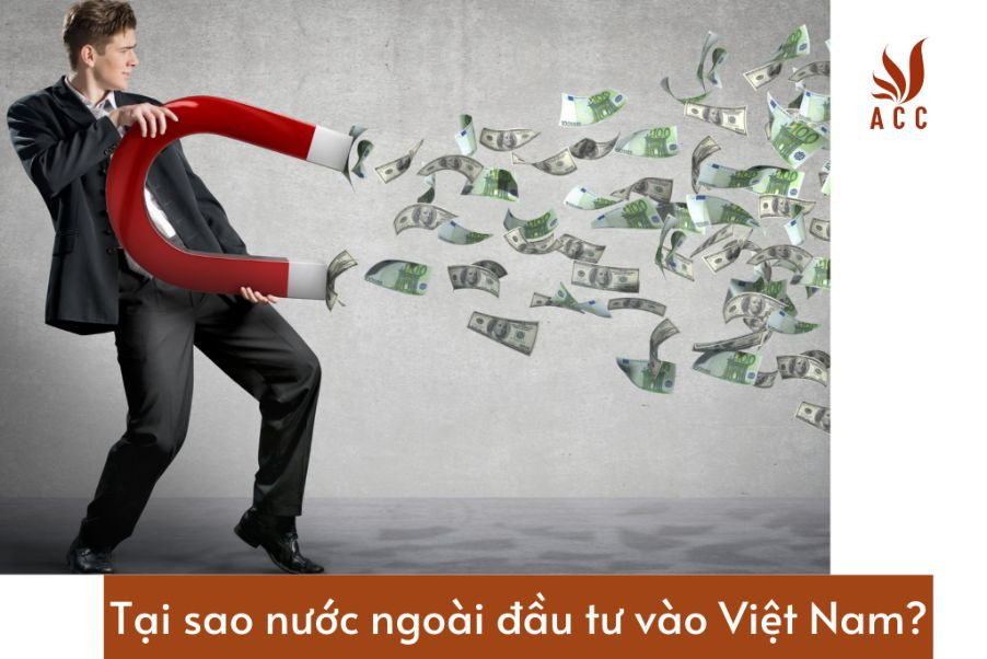 tai-sao-nuoc-ngoai-dau-tu-vao-viet-nam