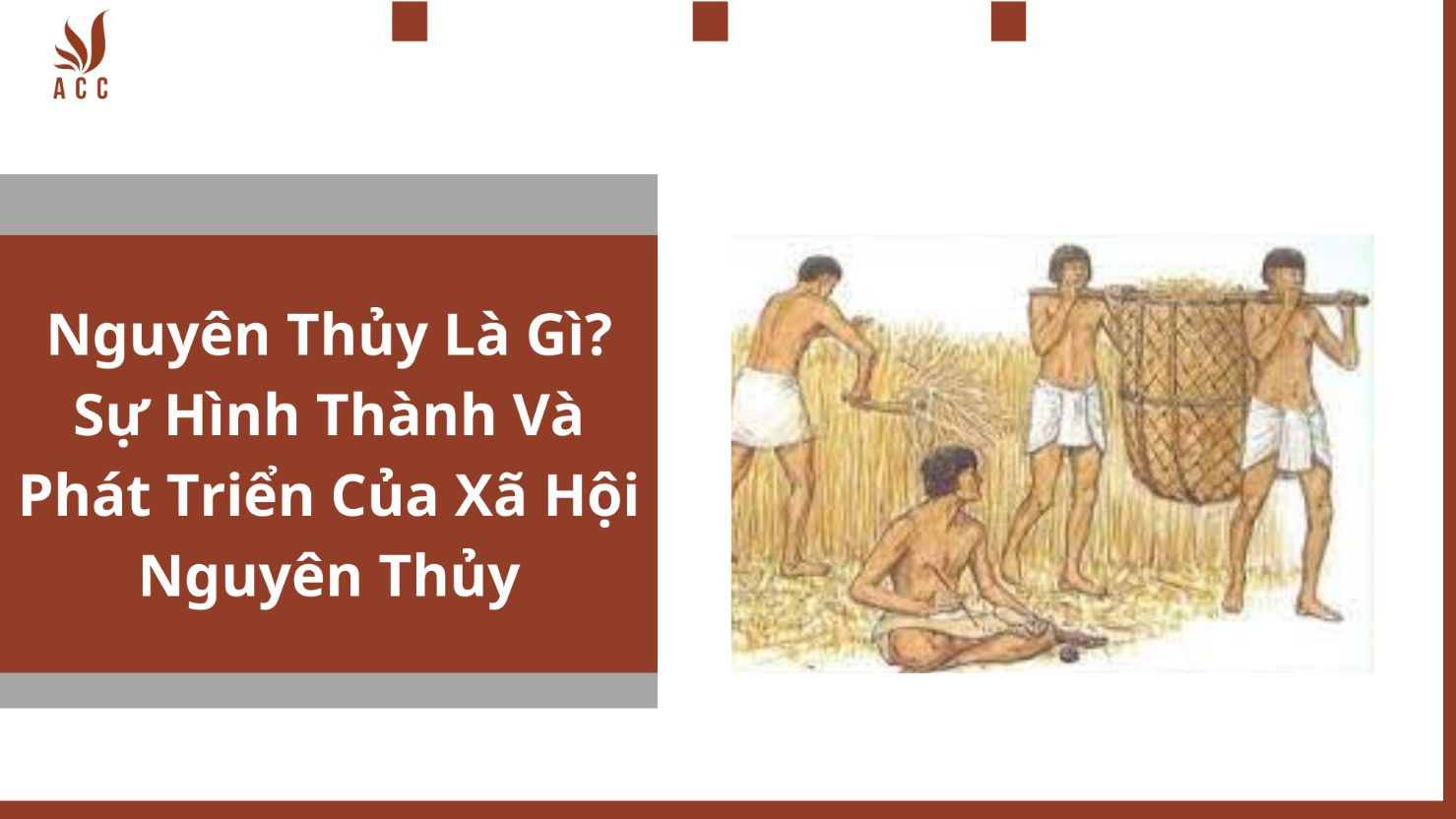 Nguyên Thủy Là Gì? Sự Hình Thành Và Phát Triển Của Xã Hội Nguyên Thủy